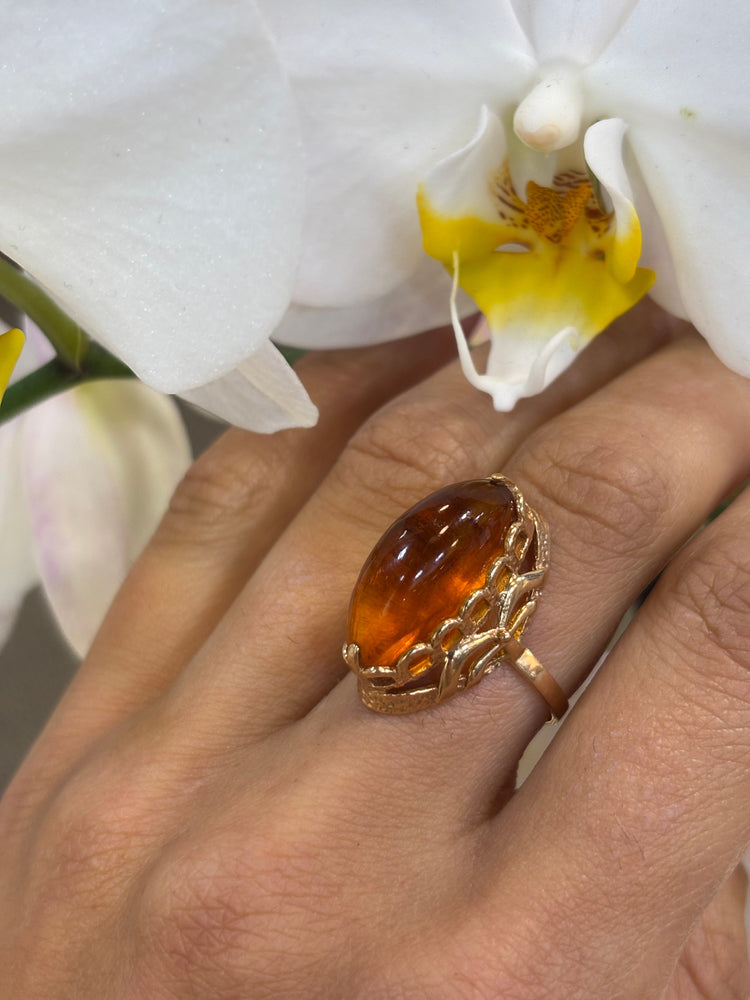 Women’s 14ct Yellow Gold Baltic Amber Ring - Hyman’s Jewellers