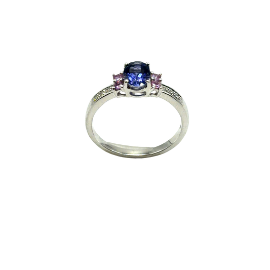 Oval Tanzanite Multi-Stone Ring in 9CT White Gold 2.9g